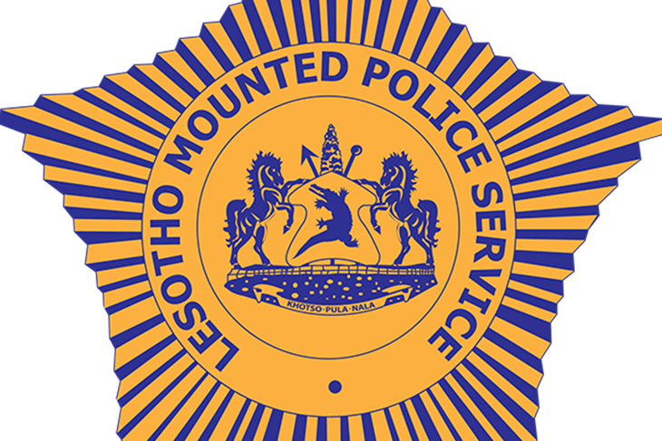 LS Police logo